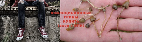 mdma Новодвинск