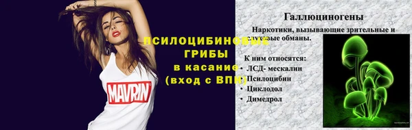 ГАЛЛЮЦИНОГЕННЫЕ ГРИБЫ Нягань