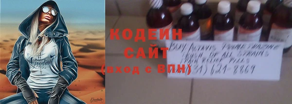 крисы Няндома