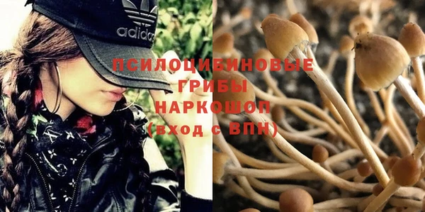 крисы Няндома