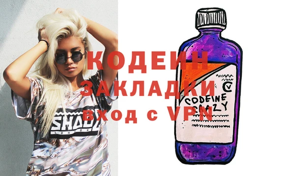 крисы Няндома