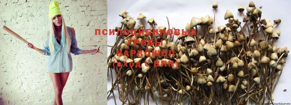 экстази Новокубанск