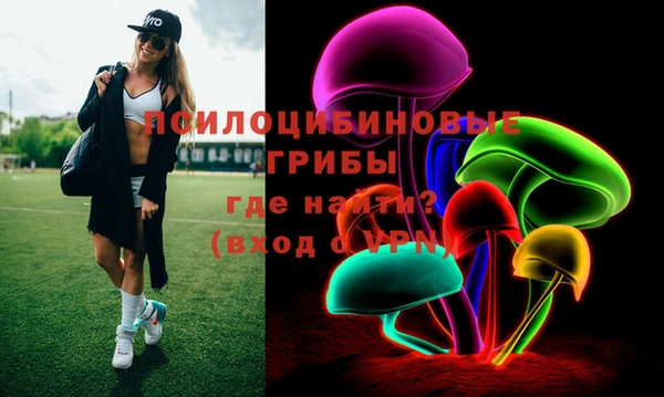 крисы Няндома