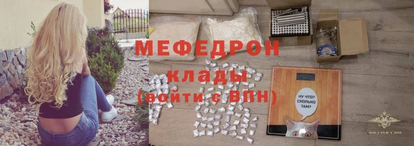 крисы Няндома
